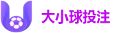 大小球投注